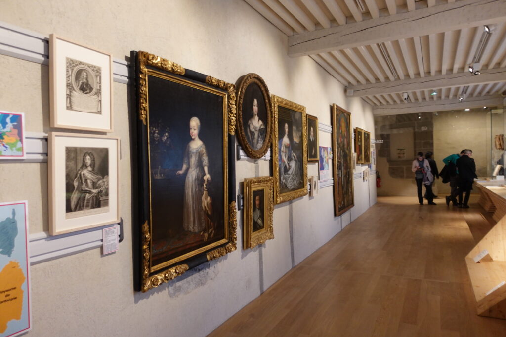 Musée Savoisien de Chambéry Enrico Martial Nos Alpes