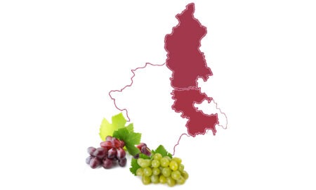 Alto Piemonte e Gran Monferrato “Città europea del vino 2024”, Alto Piemonte et Gran Monferrato « Ville européenne du vin 2024 »