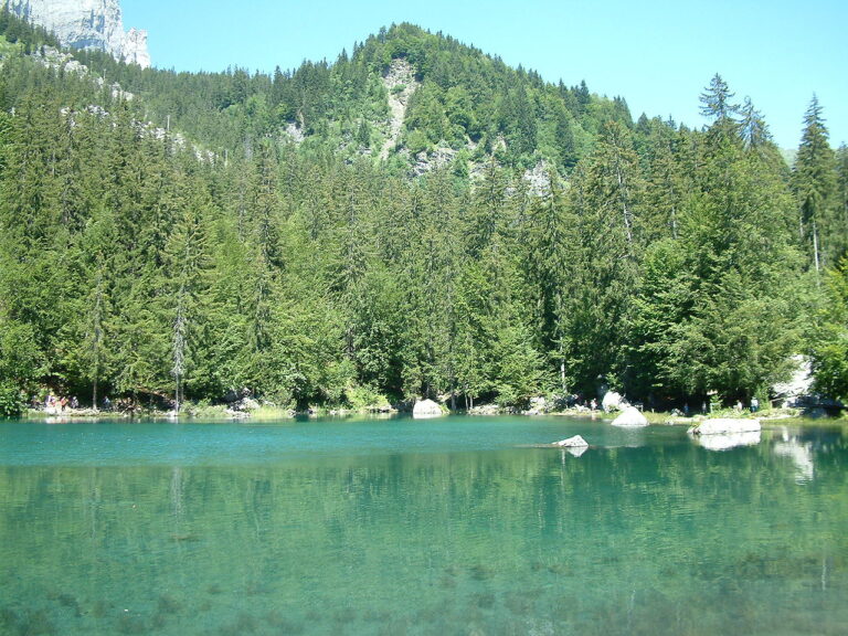 Le Lac Vert de Passy (CC BY SA 3.0 Wiki)