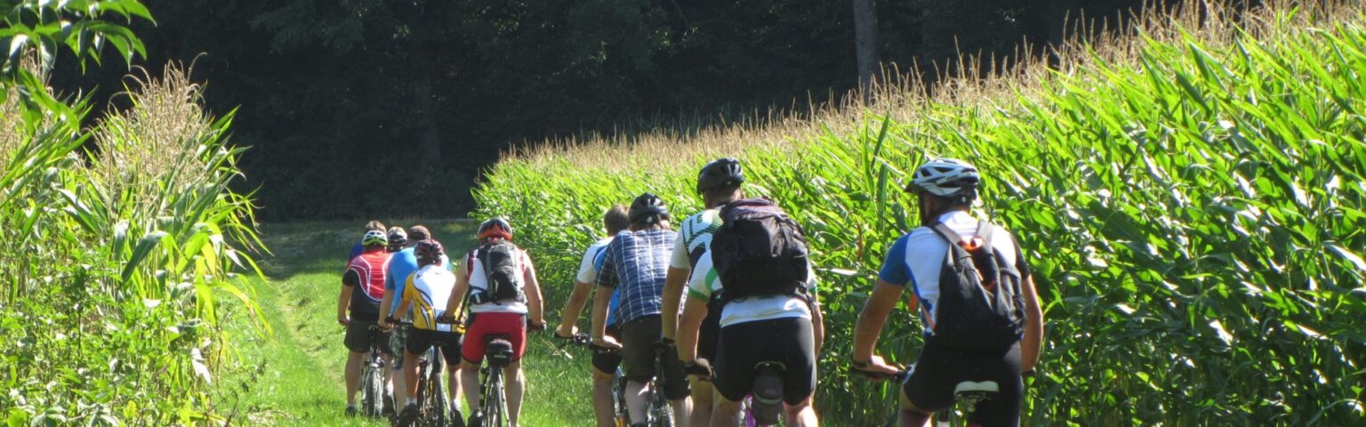 Gens en vélos; un gruppo di ciclisti (credits: rawpixel.com/Free Public Domain Photo)