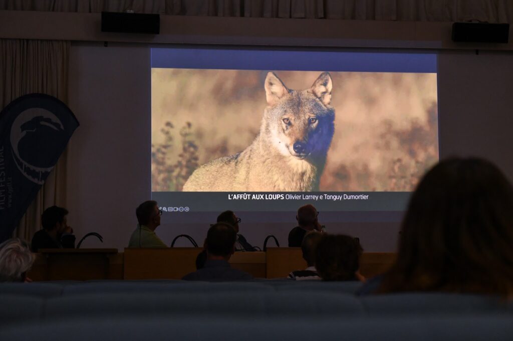 Un'immagine della conferenza stampa di presentazione del Gran Paradiso Film Festival 2024 ; Une image de la conférence de presse présentant le Festival du film du Grand Paradis 2024 (credits: Regione autonoma Valle d'Aosta)