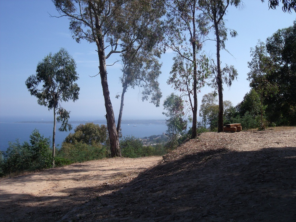 Le Parc du Massif du Paradou (source: Conservatoire du littoral)