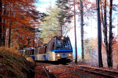 Il treno del foliage, Le train des feuilles ((c) Vigezzina-Centovalli)