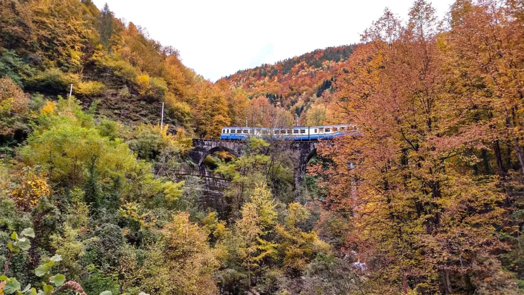 Le train des feuilles ((c) Vigezzina-Centovalli)