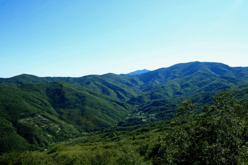 Val Bormida (c) CC BY-SA 4.0, Enrico Mazzucco, Wikimedia Commons