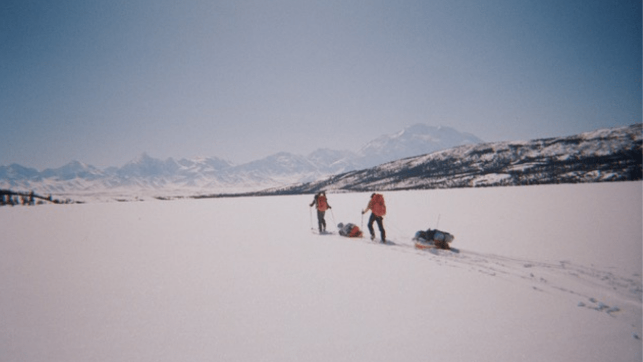 Progetto Senza TitoloUne image du film Les Jours sauvages (cc fifav-larochelle.com)