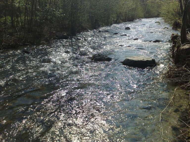 Il Fiume Bormida, parte del bando per la riqualificazione di fiumi e laghi di Regione Piemonte; La Bormida, l’un des fleuves de l'appel de la Région Piémont pour la régénération des rivières et des lacs (c) Public domain, Beon at Italian Wikipedia, Wikimedia Commons