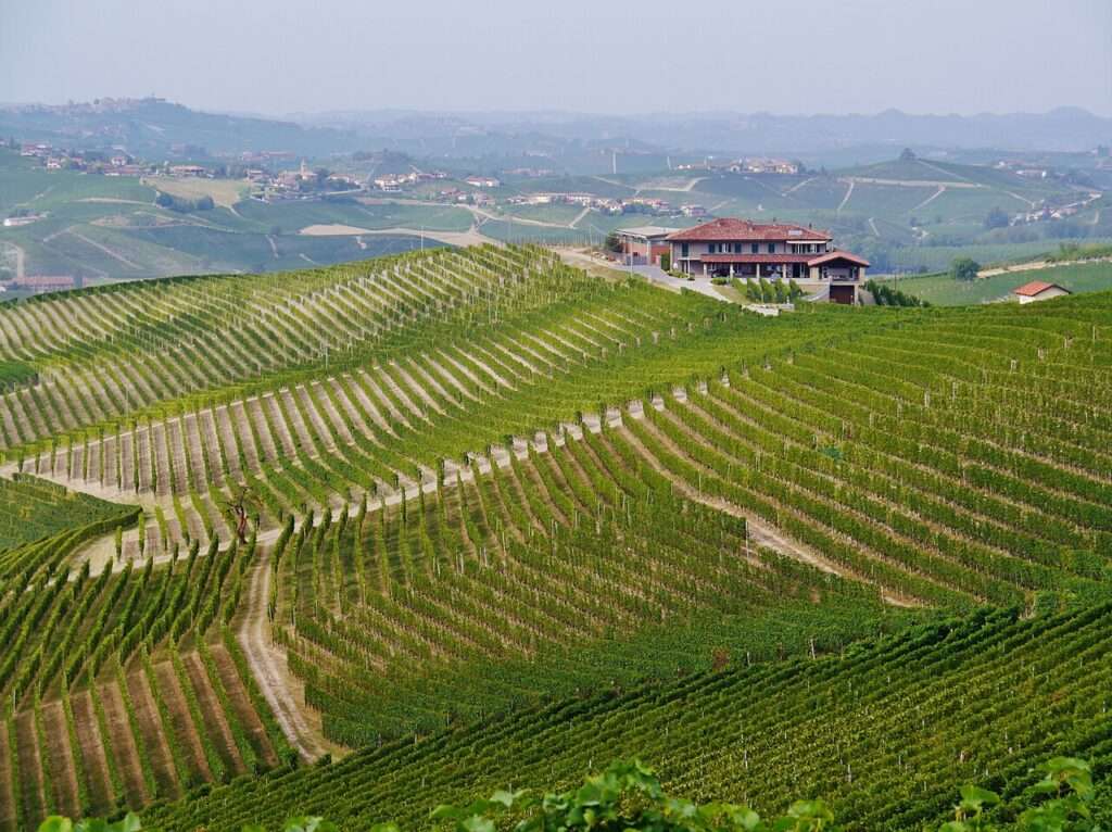 Un paesaggio delle Langhe (c) CC BY SA Wikimedia Commons