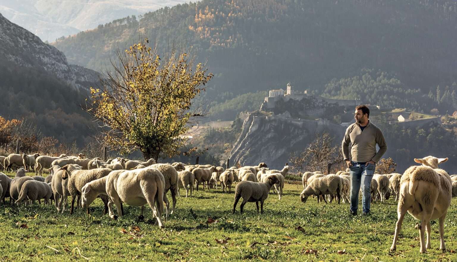 Agricoltura nelle Alpi di alta Provenza - Agriculture dans les Alpes de Haute Provence (c) Chambre d’Agriculture des Alpes de Haute Provence