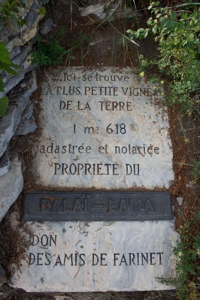 Plaque Dans La Vigne Farinet (c) Cc By 2.5. Ludovic Péron Wikimedia Commons