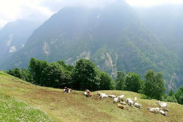 Tra La Val D'ossola E La Vallemaggia (c) Cc By Sa 4 0 Alum180 Wikimedia Commons