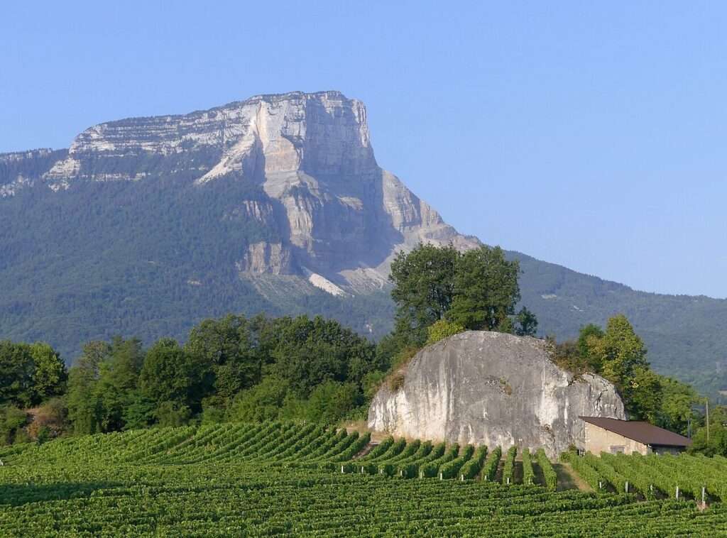 Le mont granier et pierre hachée et vignobles (c) cc by sa 4 0 florian pépellin wikimedia commons
