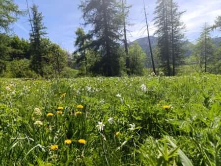 Il territorio verde Ma Mountanha dei Champlas in Piemonte (c) Cristina Bruno Nos Alpes