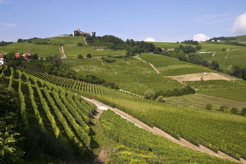 I vigneti in Piemonte e l'agricoltura di precisione Vignobles du Piémont et agriculture de précision(c) CC BY SA 3_0 Phalaenopsis Aphrodite Wikimedia Commons