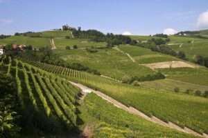 I vigneti in Piemonte e l'agricoltura di precisione Vignobles du Piémont et agriculture de précision(c) CC BY SA 3_0 Phalaenopsis Aphrodite Wikimedia Commons