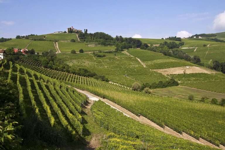 I vigneti in Piemonte e l'agricoltura di precisione Vignobles du Piémont et agriculture de précision(c) CC BY SA 3_0 Phalaenopsis Aphrodite Wikimedia Commons