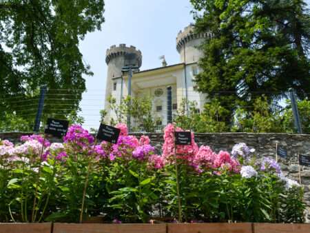 Un momento del Marché aux Fleurs al Castello di Aymavilles nel 2024 (c) Regione autonoma Valle d'Aosta