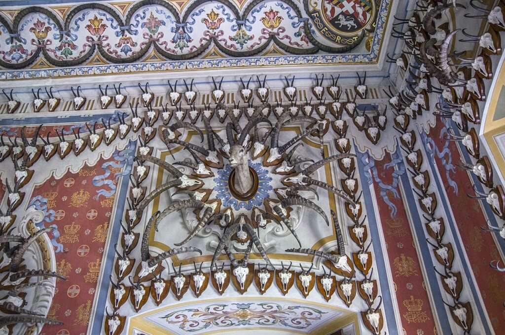 Château royal de sarre, détail des throphées (c) cc by sa 2 0 stefano merli wikimedia commons