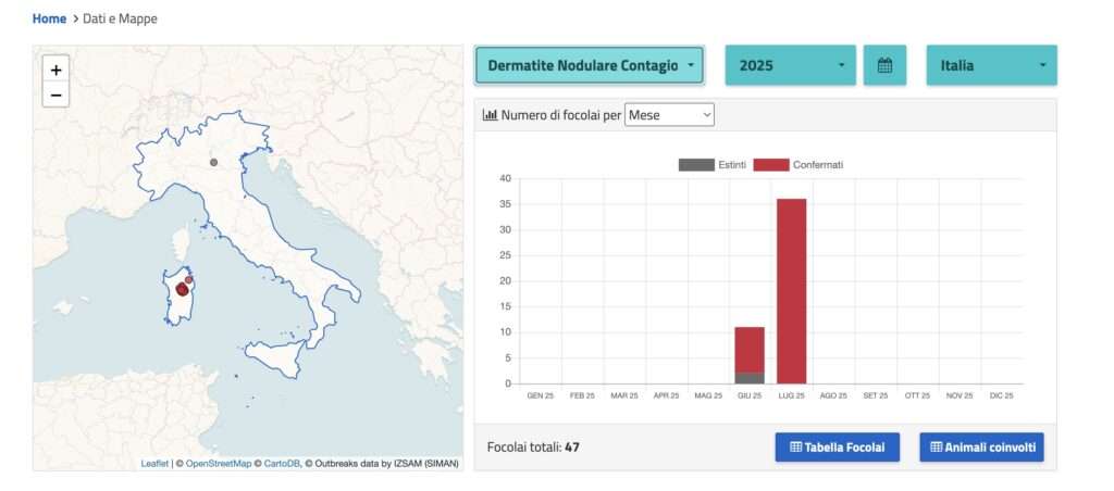 La dermatite bovina in Sardegna