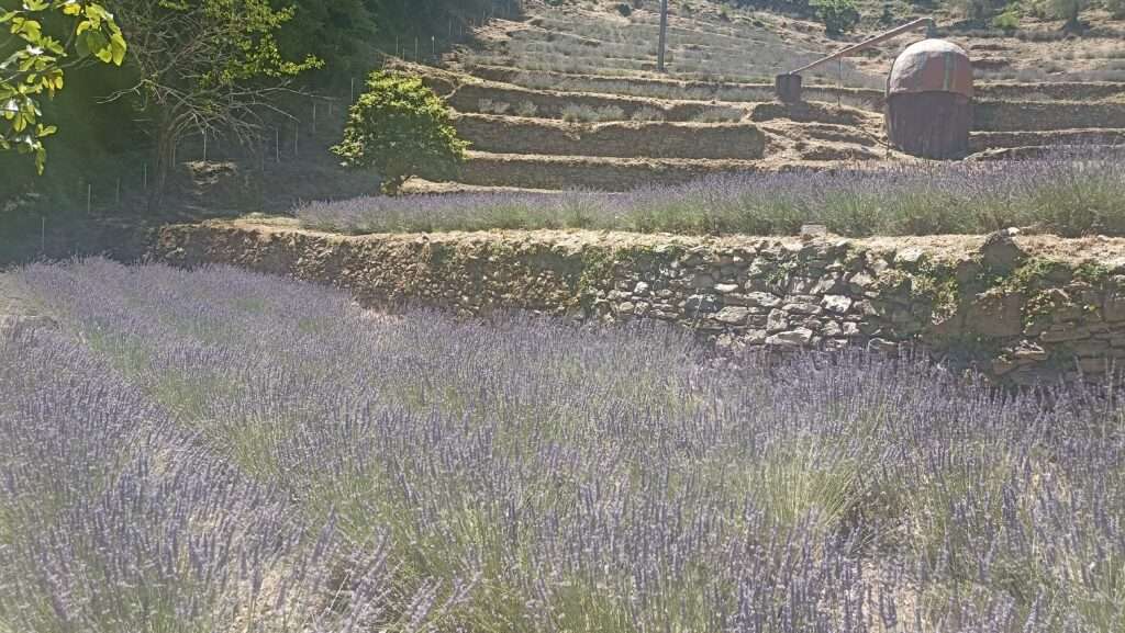 Img 20250708 140038