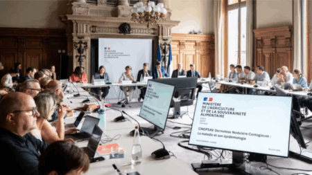 Réunion sur la dermatose bovine du Comité national d’orientation de la politique sanitaire animale et végétale, à Paris le 16 juillet 2025 - Riunione sulla dermatite bovina a Parigi, il 16 luglio 2025 (c) Ministère de l'Agriculture