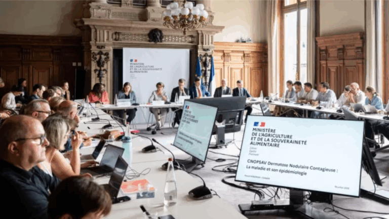 Réunion sur la dermatose bovine du Comité national d’orientation de la politique sanitaire animale et végétale, à Paris le 16 juillet 2025 - Riunione sulla dermatite bovina a Parigi, il 16 luglio 2025 (c) Ministère de l'Agriculture