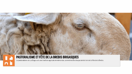 Brebis brigasque 2025