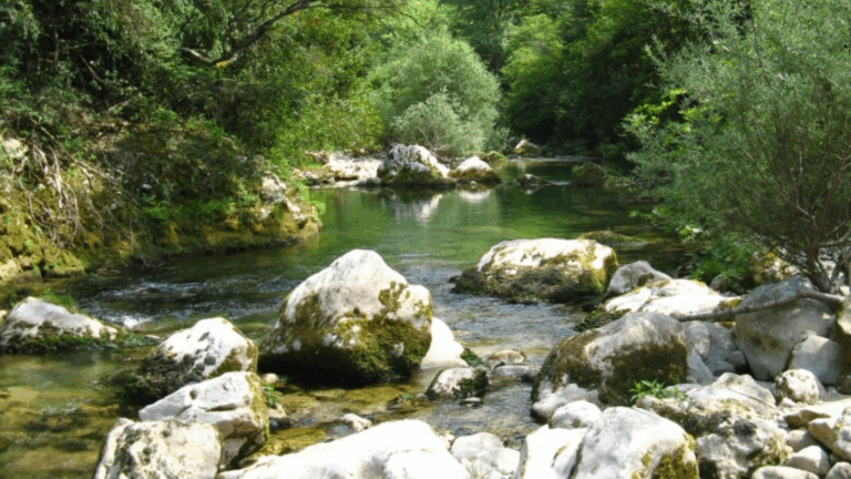 La Siagne, oggetto di monitoraggio del nuovo bollettino sull’acqua nelle Alpi Marittime, La Siagne, objet de surveillance dans le nouveau bulletin sur l'eau dans les Alpes Maritimes (c) CC BY-SA 2.5, Patrick Rouzet, Wikimedia Commons