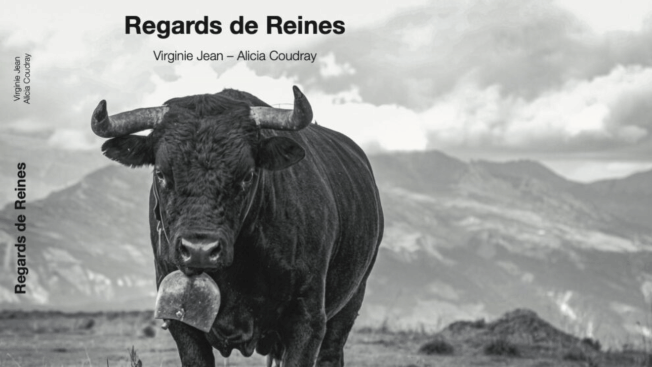 “Regards de Reines” (c) Virginie Jean