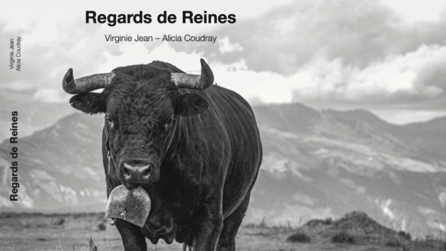 “Regards de Reines” (c) Virginie Jean
