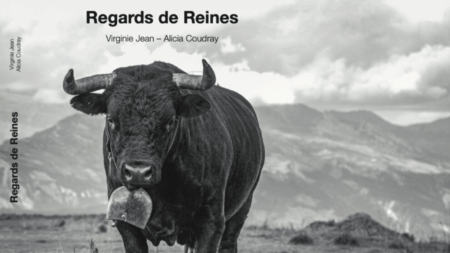 “Regards de Reines” (c) Virginie Jean
