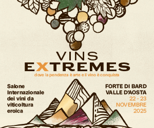 Cervim banner web vins extremes 300x250 ok