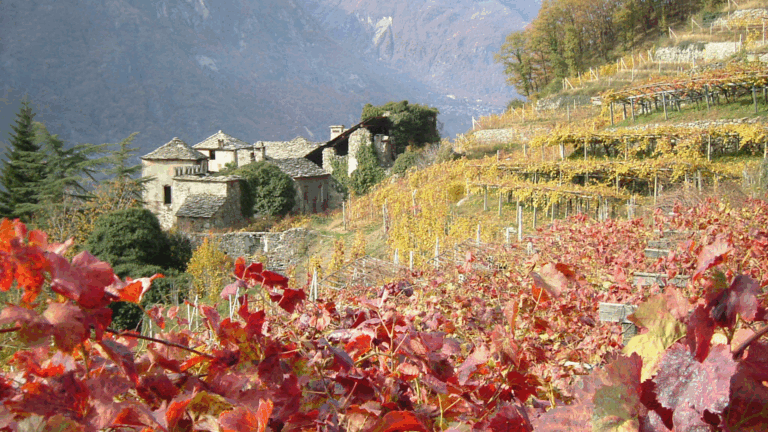 Vins Extrêmes: il salone internazionale della viticoltura eroica protagonista al Forte di Bard Des vignobles à Arnad, en Vallée d'Aoste (c) CERVIM