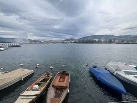 Il Lago di Ginevra inquinato dal 1,2,4-Triazolo, Le Lac Léman pollué par le 1,2,4-Triazole (c) Giorgia Gambino, Nos Alpes
