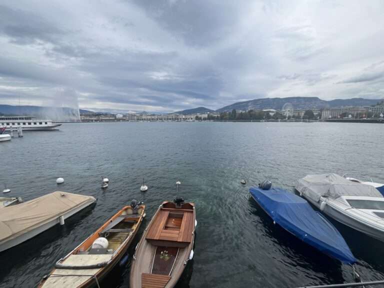 Il Lago di Ginevra inquinato dal 1,2,4-Triazolo, Le Lac Léman pollué par le 1,2,4-Triazole (c) Giorgia Gambino, Nos Alpes