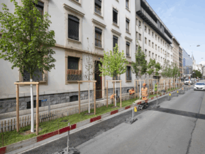 Végétalisation au Pâquis, en 2025 (c) Nicole Zermatten Ville de Genève