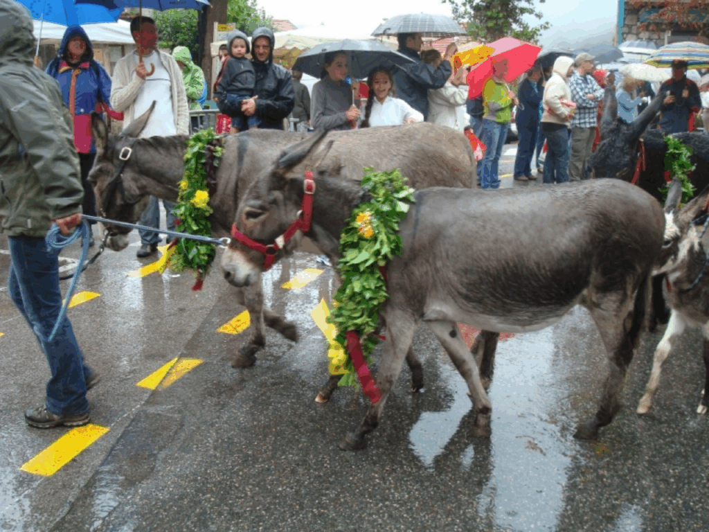 La Fête de Saint-Martin à Saint-Martin-Vésubie (c) CC BY-SA 3_0 Nerijp Wikimedia Commons