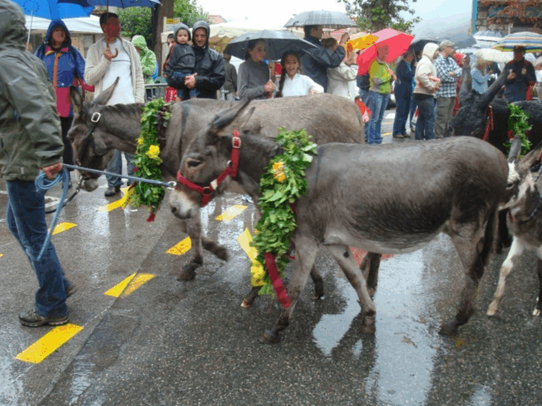 La Fête de Saint-Martin à Saint-Martin-Vésubie (c) CC BY-SA 3_0 Nerijp Wikimedia Commons