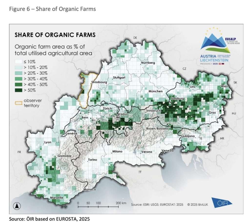 4fa13338 4171 4a8f af6d 036ebe31ff09