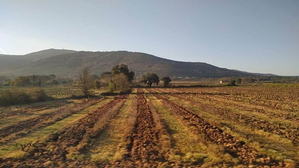 Massiccio dei Maures (c) CC BY-SA 4.0, Homère plus, Wikimedia Commons