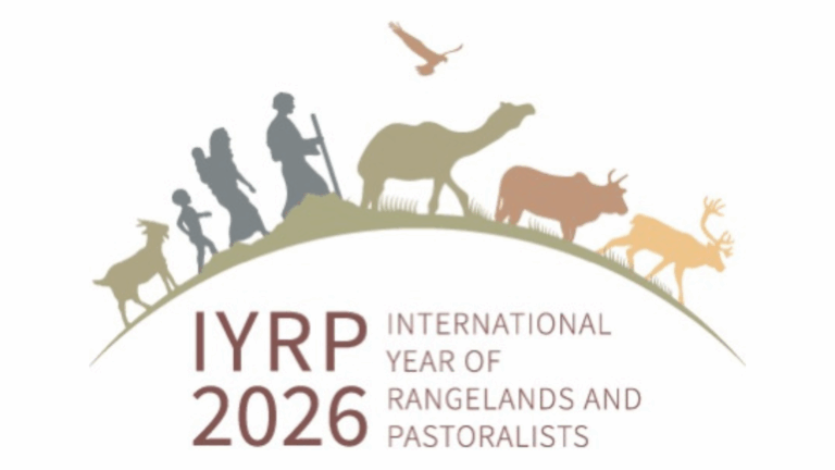 L’Anno internazionale del pascoli e dei pastori, L'Année internationale des pâturages et des bergers (c) ONU