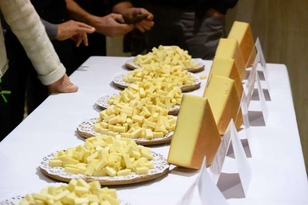 Modon d'or 2025, les cinq fontines(c) région autonome vallée d'aoste