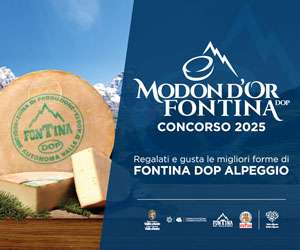 Banner300x250px modon d'or 2025