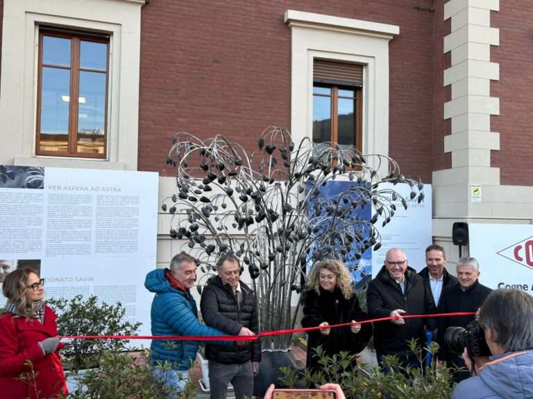 L’arbre aux cœurs d’acier, Per aspera ad astra : l’œuvre de Donato Savin à Aoste Img 20260123 wa0000