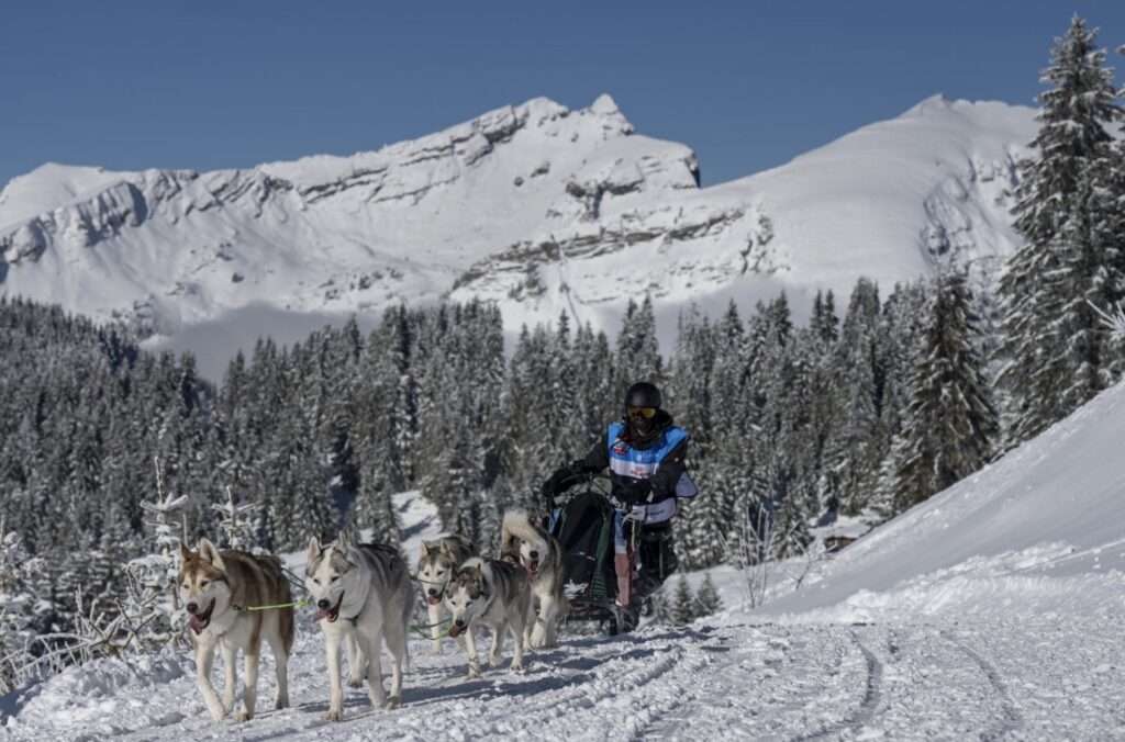 (c) La Grande Odyssée, Presse LGO26 - 11.01.26 - Benoit Diacre