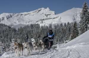 (c) La Grande Odyssée, Presse LGO26 - 11.01.26 - Benoit Diacre