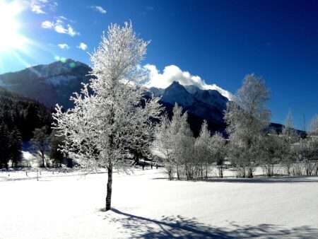 Freddo invernale e gelo nelle Alpi tra Italia, Francia e Svizzera Le froid en hiver (c) CC0 Public Domain Pxhere