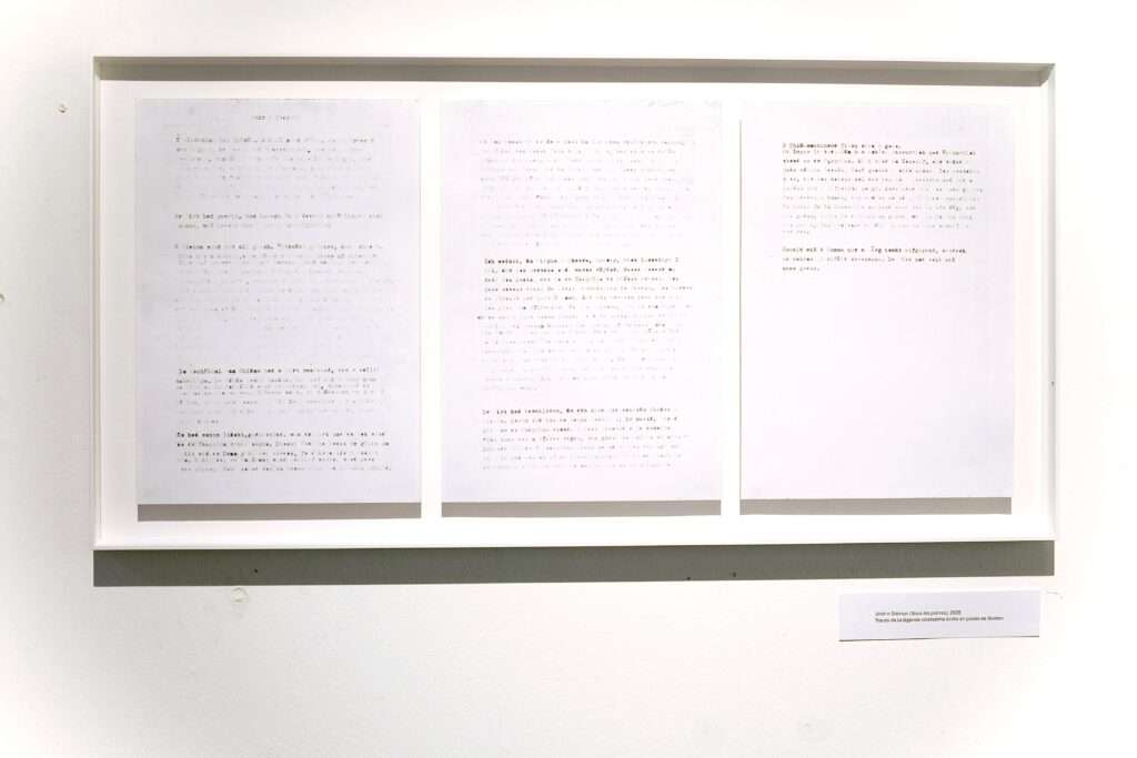 Sous les pierres, exposition de coline ladetto à martigny jusqu'au 31 janvier 2026 (c) médiathèque du valais