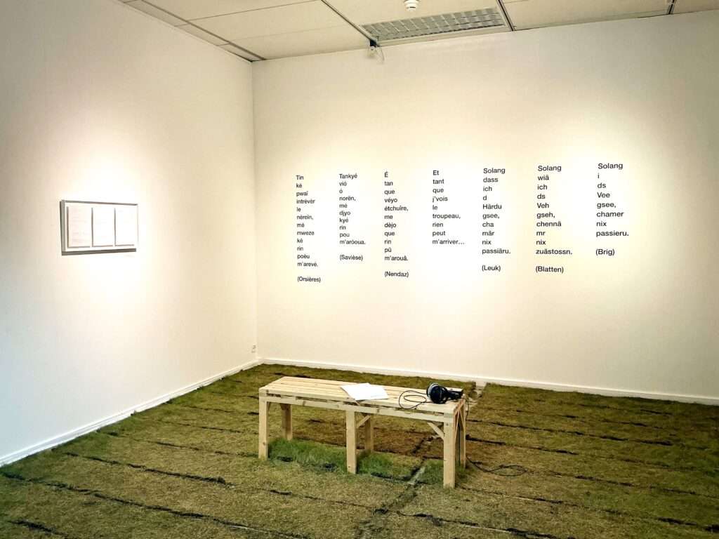 Sous les pierres, une salle de l'exposition de coline ladetto à martigny jusqu'au 31 janvier 2026 (c) médiathèque du valais