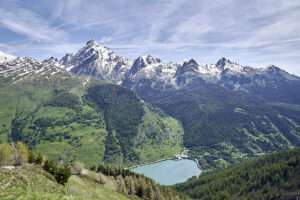 Il Bosco dell’Alevé, in Piemonte, esempio della resilienza delle foreste alpine; La Forêt de l’Alevé, dans le Piémont, un exemple de la résiliation des forêts alpines (c) CC BY-SA 4.0, Daniele Baravalle, Wikimedia Commons